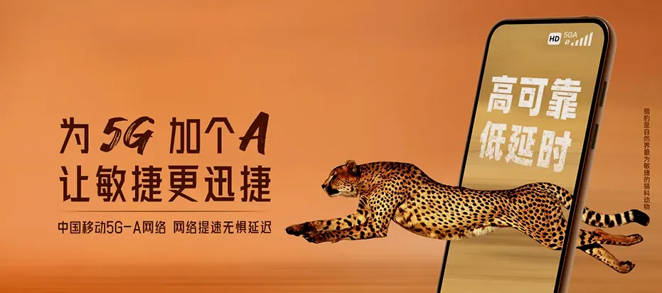 小金县小金县达维镇 移动宽带